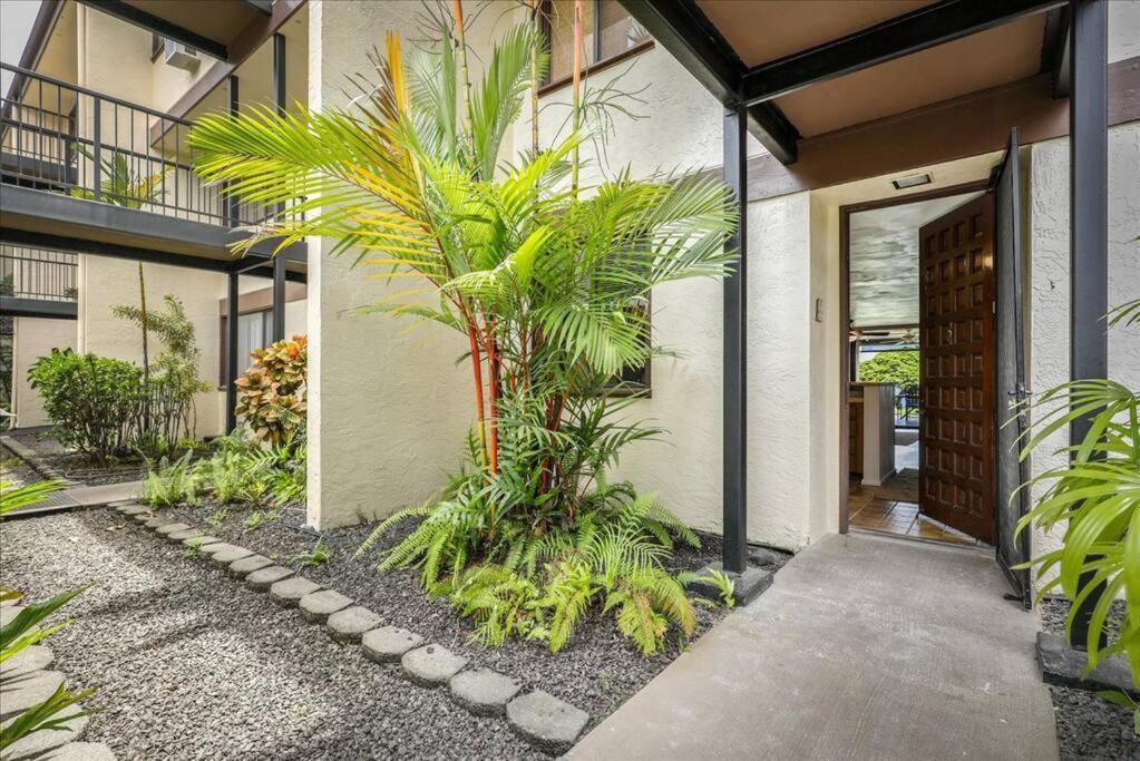 Beautiful 2/2 Condo In Kailua Kona. Ocean View! מראה חיצוני תמונה